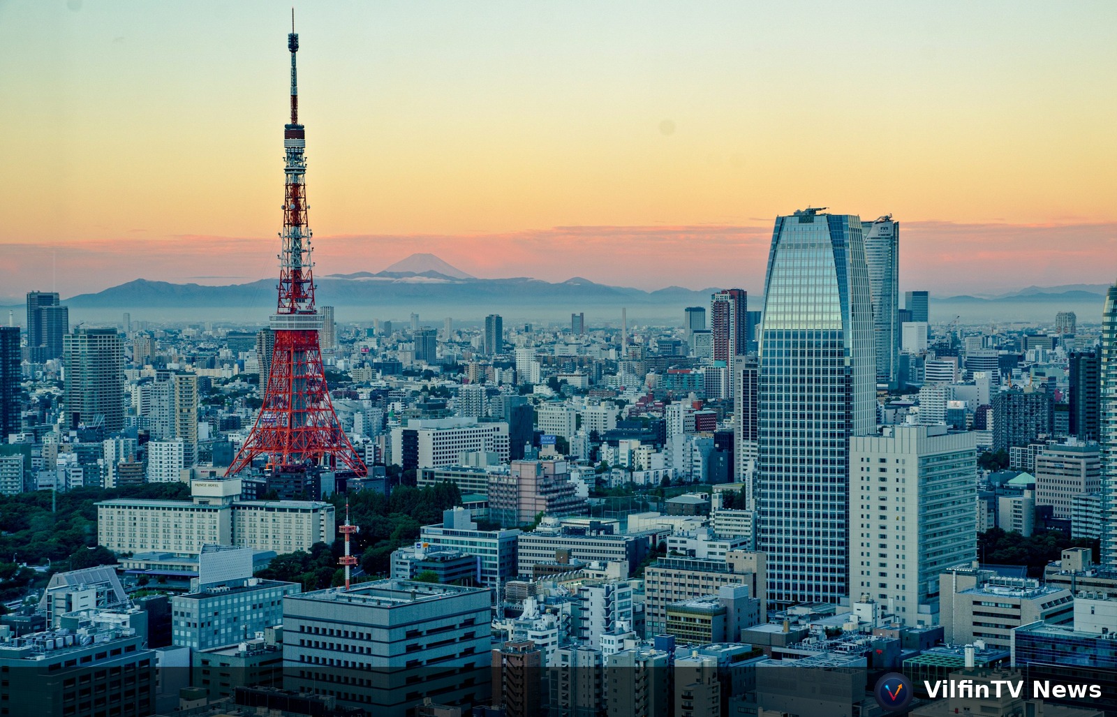 You Moved to Japan and Your Bones Didn't Get the Memo: The Expat's Survival Guide to Vitamin D Deficiency in Tokyo and Osaka