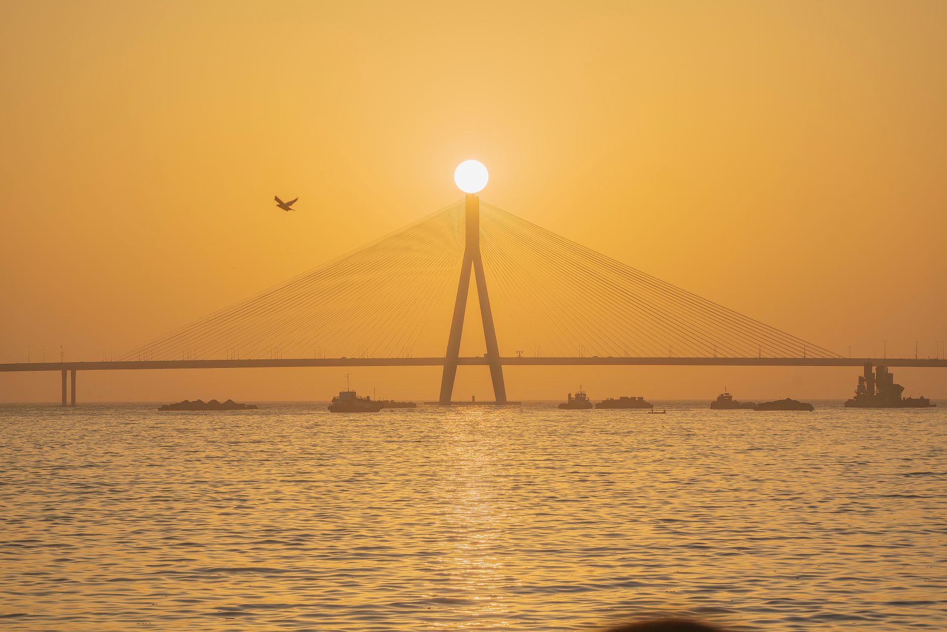 India's Tax Revolution 2026: The Bill That Could Reshape Your Entire Portfolio