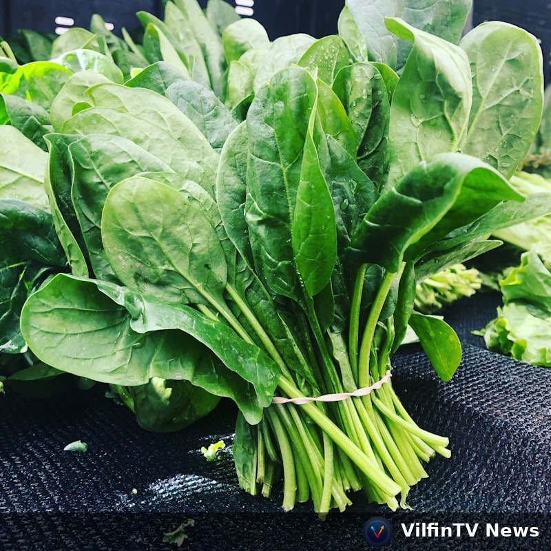 Iron-rich leafy greens